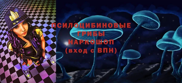 стаф Богданович