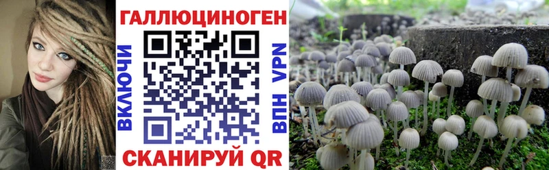 Псилоцибиновые грибы Psilocybine cubensis  Окуловка 